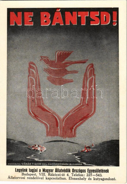 Ne bántsd! Magyar Állatvédők Országos Egyesületének Állatvédelmi Levelezőlapja. Budapest VII. Rákóczi út 4. / Hungarian animal protection propaganda art postcard s: Vákár Tibor