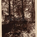 1922 Bükkszentlélek (Miskolc), Pálos-rendi kolostor romjai a Bükkben. photo