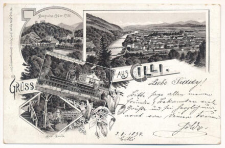 1894 (Vorläufer!) Celje, Cilli; Burgruine Ober-Cilli, Waldhaus mit dem Sannbad, Seidl Quelle / castle ruins, spa, mineral water spring. Fritz Rasch Art Nouveau, floral, litho (EK)