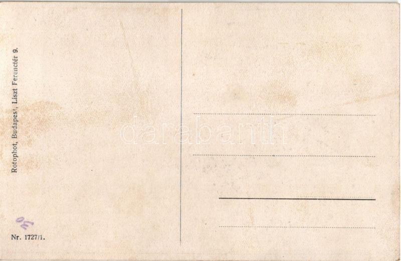Viennese Art Nouveau. Rotophot Nr. 1727/1. s: Mela Koehler (r) - Image 2
