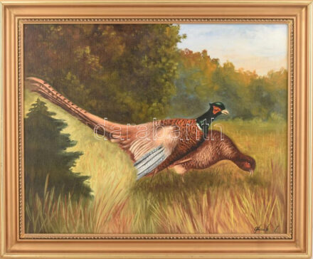 Ofcsák László (?-): Fácánok. Olaj, vászon. Dekoratív fakeretben. 40x50 cm