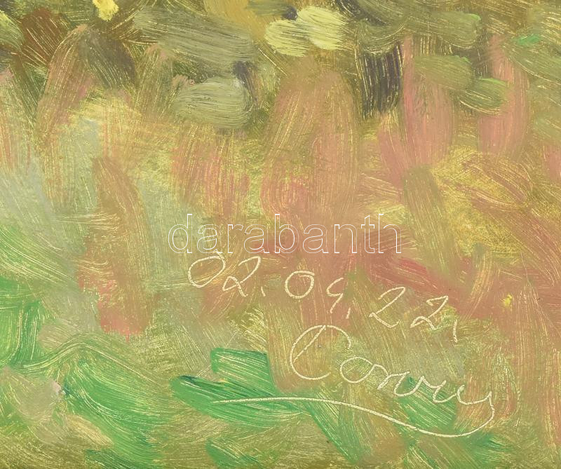 Olvashatatlan jelzéssel: Napfényes táj. Olaj, farost. 55x68 cm. Dekoratív fakeretben. - Image 2