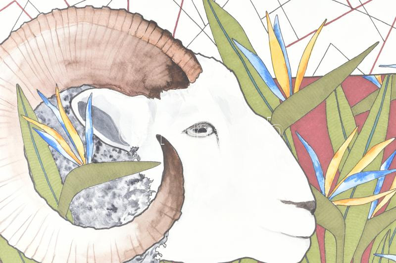 Kun Sarolta (1990-): Zodiákus sorozat: Kos. Vegyes technika, papír, jelzett, felcsavarva, 40x50 cm - Image 3