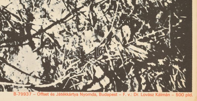 1979 Bukta Imre, fe Lugossy László és Bernáth (y) Sándor festményei a Csepeli Papírgyár Ifjúsági Klubjában, plakát, hajtott, 66×47 cm - Image 3
