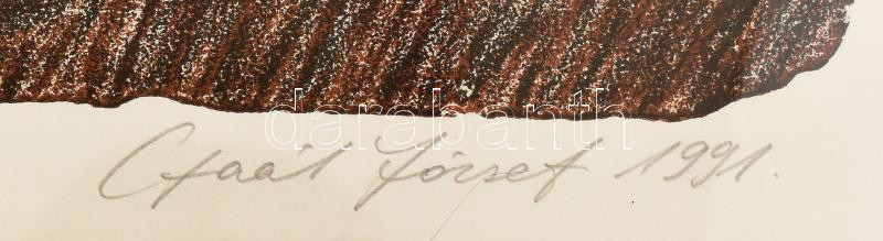 Gaál József (1960-): Emlékezés tévútjai, 1991. Litográfia, papír. Jelzett, számozott: 14/20. Üvegezett fakeretben. 43×54 cm / lithograph on paper, signed, numbered: 14/20, framed - Image 3