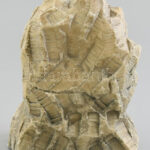 Beethoven alabástrom szobor, jelzett, korának megfelelő állapotban, m: 18 cm - Image 2