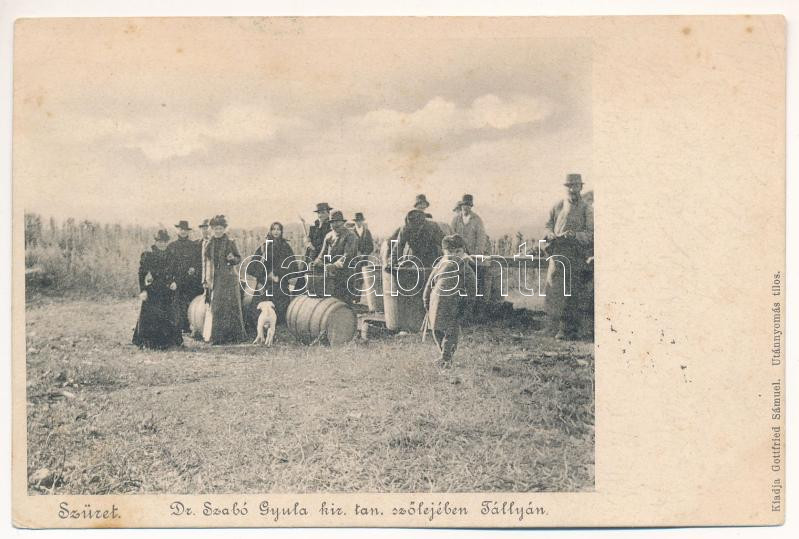 1904 Tállya, Szüret Dr. Szabó Gyula kir. tan. szőlőjében, csoportkép. Gottfried Sámuel kiadása (EK)