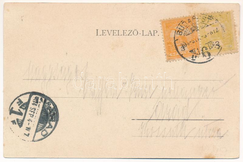 1904 Tállya, Szüret Dr. Szabó Gyula kir. tan. szőlőjében, csoportkép. Gottfried Sámuel kiadása (EK) - Image 2
