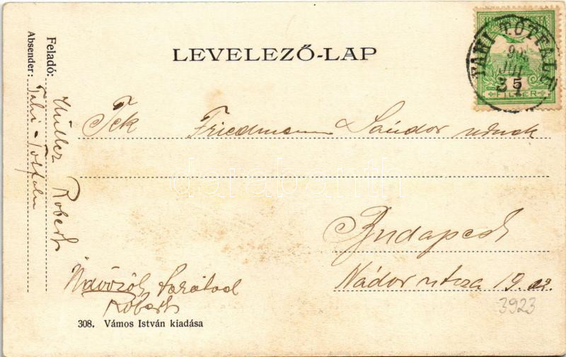 1903 Tahitótfalu, Tahi-Tótfalu; Tahi látképe az úszó híddal, komp. Vámos István kiadása (fl) - Image 2