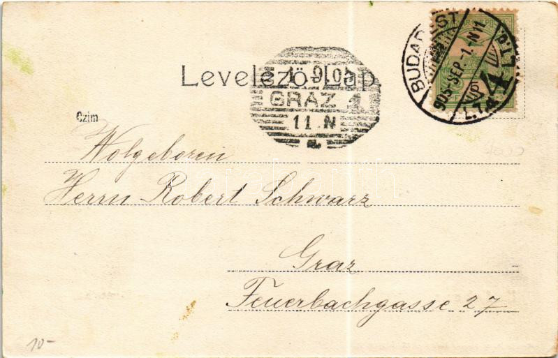 1905 Budakeszi, Virágvölgy. Stern Jakab kiadása / Blumenthal (EK) - Image 2