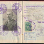 1926 Szerb, Horvát és Szlovén Királyság által kiadott útlevél / passport