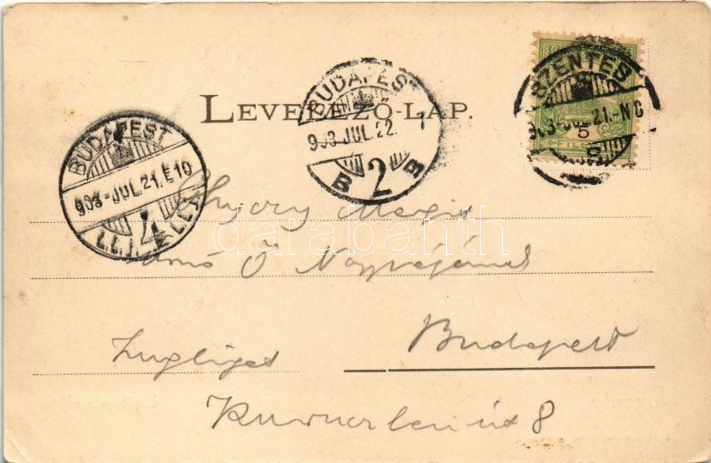 1903 Szentes, szélmalmok. Untermüller Ernő kiadása (EK) - Image 2