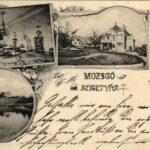 1904 Mozsgó (Szigetvár), Biedermann kastély, belső. Divald Art Nouveau, floral (EK)