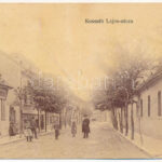 Budapest XXII. Budafok, Kossuth Lajos utca, Bleicher Ferenc üzlete, Kő és könyvnyomda. Kohn és Grünhut kiadása (fa)