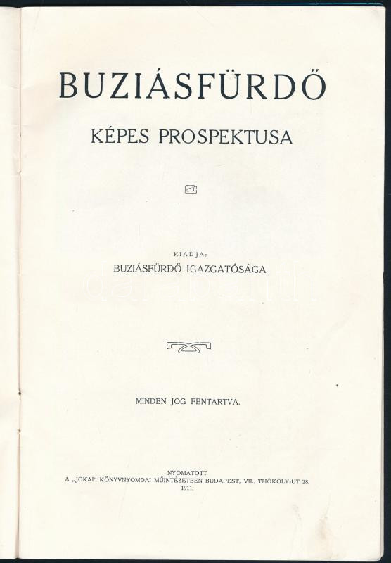 1911 Buziásfürdő képes prospektusa, képekkel illusztrált, 31p - Image 2