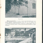 1911 Buziásfürdő képes prospektusa, képekkel illusztrált, 31p - Image 3