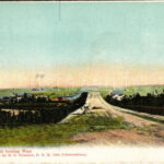 Cullinan Diamond Mine, Oak Avenue looking West. Published by R. O. Füsslein No. 10. - from postcard booklet