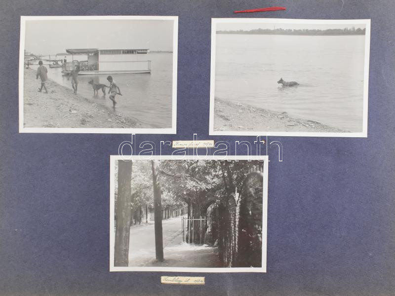 1937 Budapest, Rózsadomb és Rómaifürdő, Várósliget, Somlóhegy, 12 db albumlapra ragasztott fotó, feliratozva, 9×12 cm - Image 3