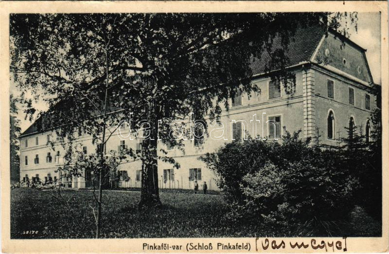 1920 Pinkafő, Pinkafeld; vár, kastély. Karl Strobl kiadása / castle (vágott / cut)