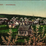 Savanyúkút, Sauerbrunn; látkép. Hönigsberg Frigyes kiadása / general view (EK)