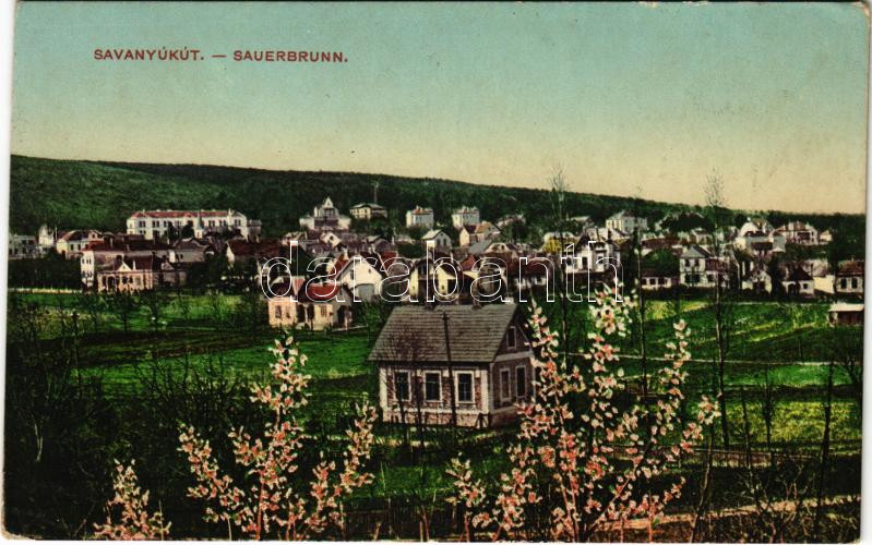 Savanyúkút, Sauerbrunn; látkép. Hönigsberg Frigyes kiadása / general view (EK)