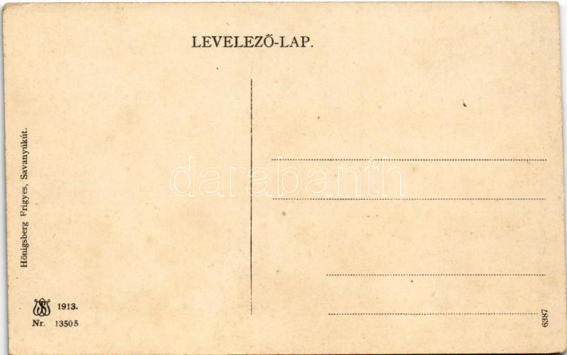 Savanyúkút, Sauerbrunn; látkép. Hönigsberg Frigyes kiadása / general view (EK) - Image 2