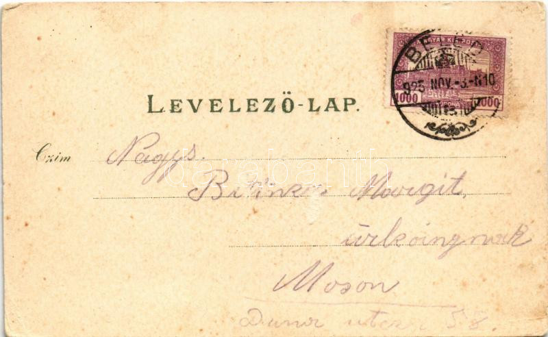 1925 Beled (Kapuvár), Gönye vendéglője, étterem, Fő tér, Béla major, Római katolikus templom. Ludwig Kummert 4018. Art Nouveau, floral, litho (EK) - Image 2