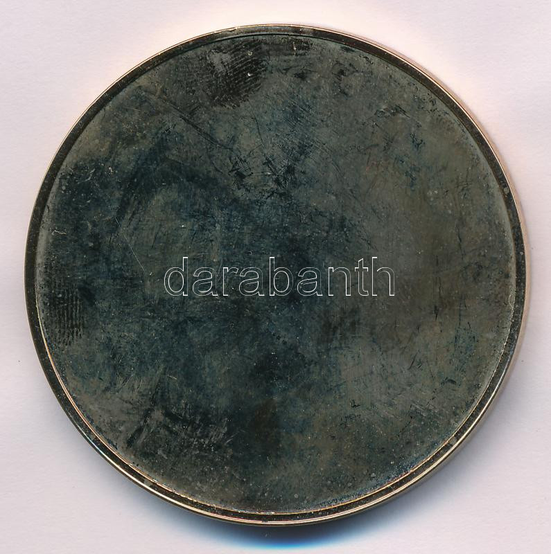 DN 'Honvédelmi Minisztérium' műgyantás bronz emlékérem (50mm) T:AU - Image 2