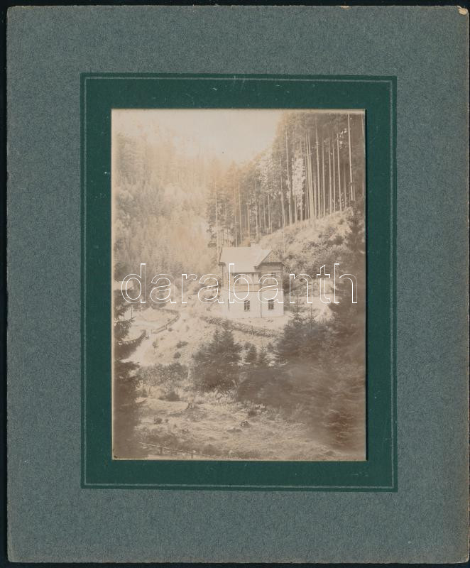 cca 1910 Körmöcbánya (Kremnica, Felvidék) Zólyomvölgy, nyaraló 8x11 cm-es fekete-fehér fotó paszpartuban. karton 14x17 cm