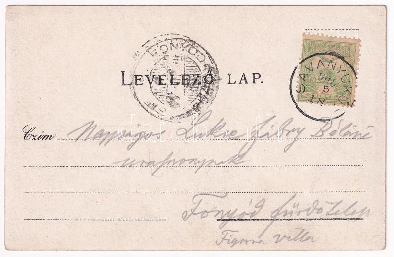 1905 Savanyúkút, Sauerbrunn; Hartig villa. Samuel Schön kiadása / villa. Art Nouveau, floral (fl) - Image 2