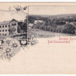 1901 Tarcsa, Tarcsafürdő, Bad Tatzmannsdorf; Karolina villa. Hönigmann kiadása / villa, spa. Art Nouveau, floral (felületi sérülés / surface damage)
