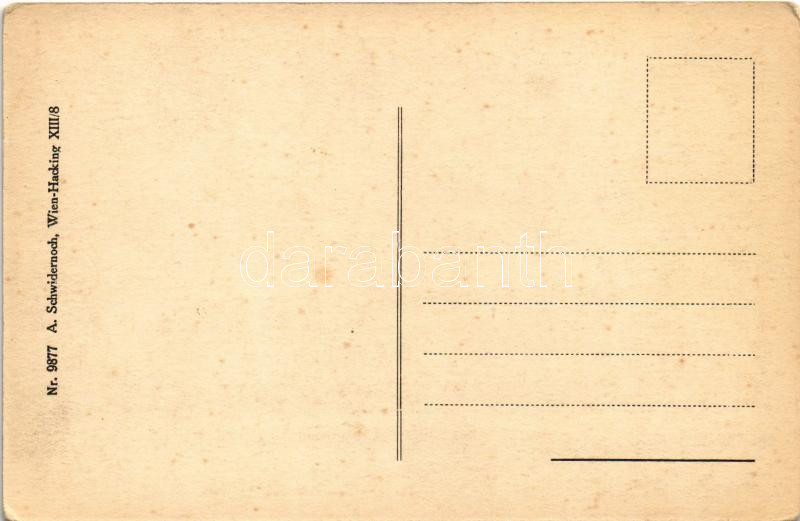 Tarcsa, Tarcsafürdő, Bad Tatzmannsdorf; Gyógytér és Károly-forrás. A. Schwidernoch Nr. 9877. / spa, spring source (EK) - Image 2
