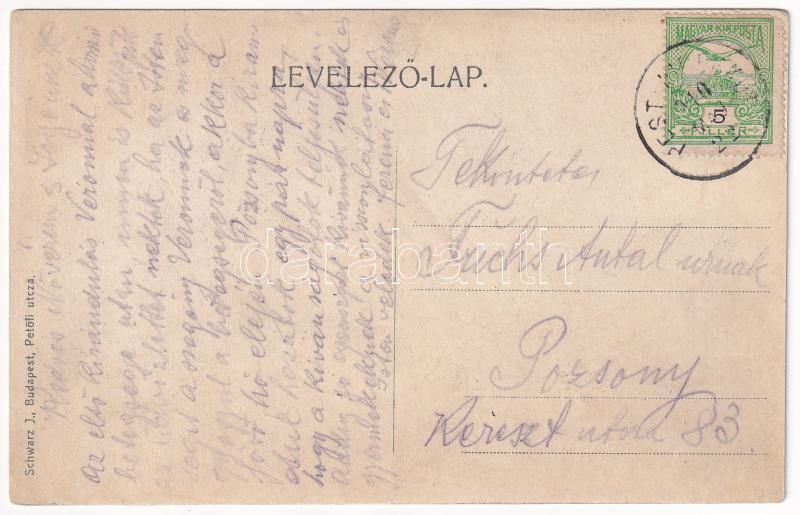 1910 Budapest, Bleriot repülőgépe a Lánchíd felett, montázs (r) - Image 2