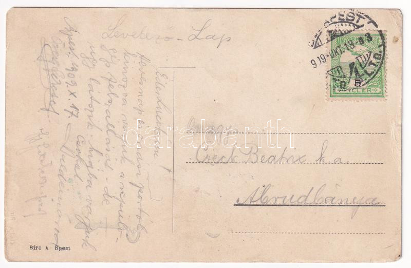 1909 Budapest, Bleriot repülőgépével Budapesten. Biró A. kiadása (EM) - Image 2