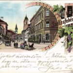1899 (Vorläufer) Székesfehérvár, utca, Café Elite kávéház, üzlet. Kaufman F. kiadása, Art Nouveau, floral, litho (EK)