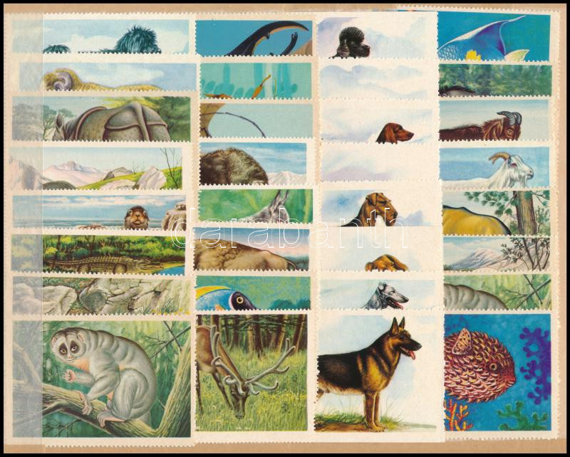 128 db állatokat ábrázoló oktató, propaganda bélyeg, hátoldalán leírásokkal, 4 db berakólapon - Image 3