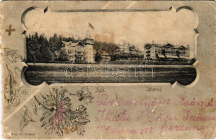 1915 Igls (Tirol), Iglerhof / hotel. Art Nouveau, floral + 'K.u.K. Garnisonsspital Nr. 10. in Innsbruck' (b)