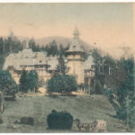 Sinaia, Castelul Peles. Ad. Maier & D. Stern, montage with Carol I of Romania (hole)