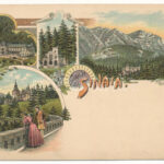 Sinaia. Ottmar Zieher Art Nouveau, floral, litho (fl)