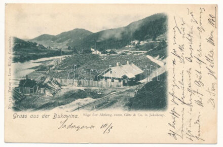 1899 (Vorläufer) Iacobeni, Jakobeny (Bukovina, Bukowina); Säge der Aktieng. vorm. Götz & Co. Leon König Czernowitz No. 314. / sawmill (Rb)