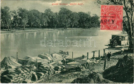 River Murray, South Australia (EK)