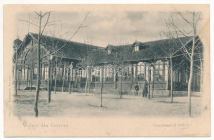 Baile Govora, Stabilimentul bailor / spa. Ed. Libr. Dimitrescu
