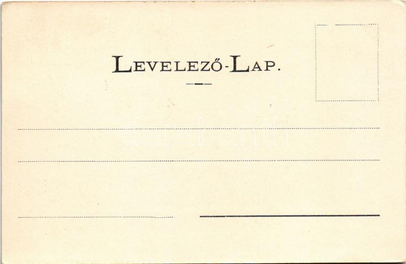 Bártfa-fürdő, Bardejovské Kúpele, Bardiov, Bardejov; Otthon szálloda. Divald Adolf 112. / hotel (EK) - Image 2
