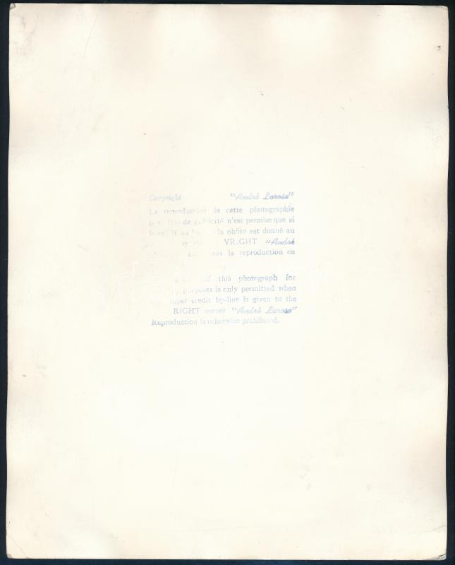 Selye, János (1907-1982) orvos, orvosbiológus, kémikus, 18 egyetem díszdoktora autográf dedikációval ellátott fotója Völgyesi Ferenc (1895-1967) orvosdoktor, pszichiáternek. / Autograph signed photo of doctor Hans Selye to Ferenc - Image 2