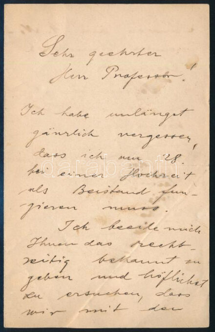 cca 1910 Kacsóh Pongrácz (1873-1923) zeneszerző autográf levele német nyelven 'Sehr geehrter Herr Professor' megszólítással