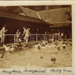 1908 Menyháza, Monyásza, Moneasa; Hidegfürdő, fürdőzők / spa, swimming pool, bathers. photo