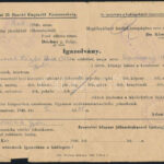 1946 Komárom, 2 db igazolvány (utazási, elbocsátó) hadifogságból hazatért részére - Image 2