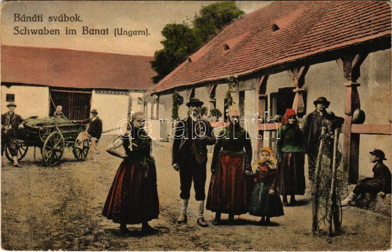 Bánáti (Bánsági) svábok, folklór, népviselet / Banat Swabians folklore (fl)