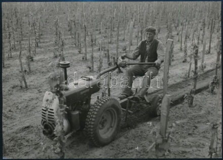 1961 Mezőgazdasági munkagép, sajtófotó, a hátoldalon feliratozott, pecséttel jelzett (Magyar Hírek - Novotta Ferenc felvétele), 18x13 cm