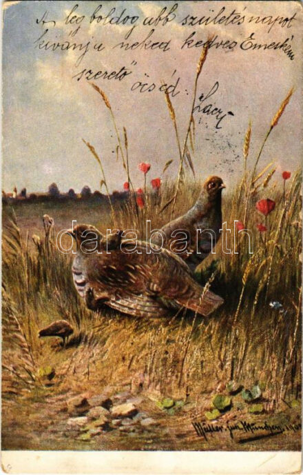 1905 Erdei madarak / forest birds s: Moritz Müller Junior (EK)